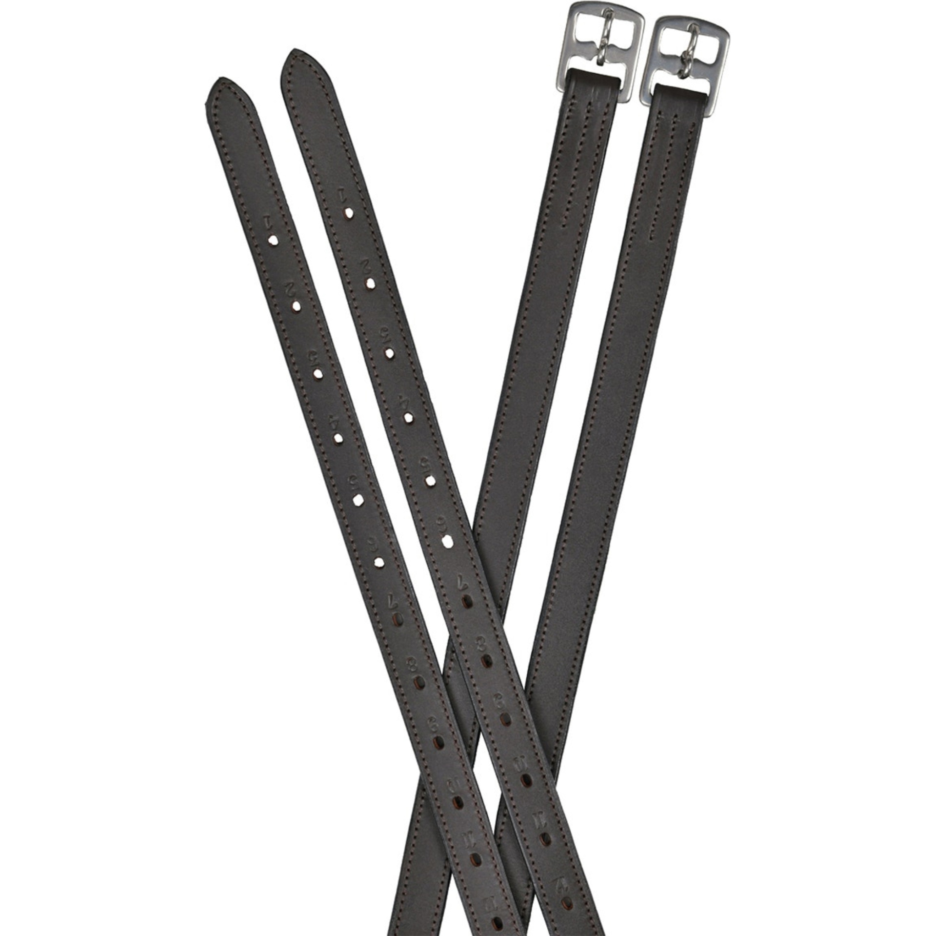 2026 Dublin Web Back Stirrup Leathers 1031536 - Black